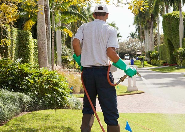 About Highland IN Pest Control
